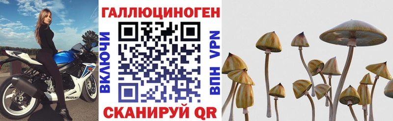 нарко площадка формула  MEGA как войти  Старая Купавна  Псилоцибиновые грибы Psilocybine cubensis 